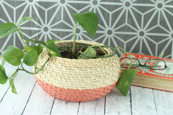 Paint dipped baskets planter