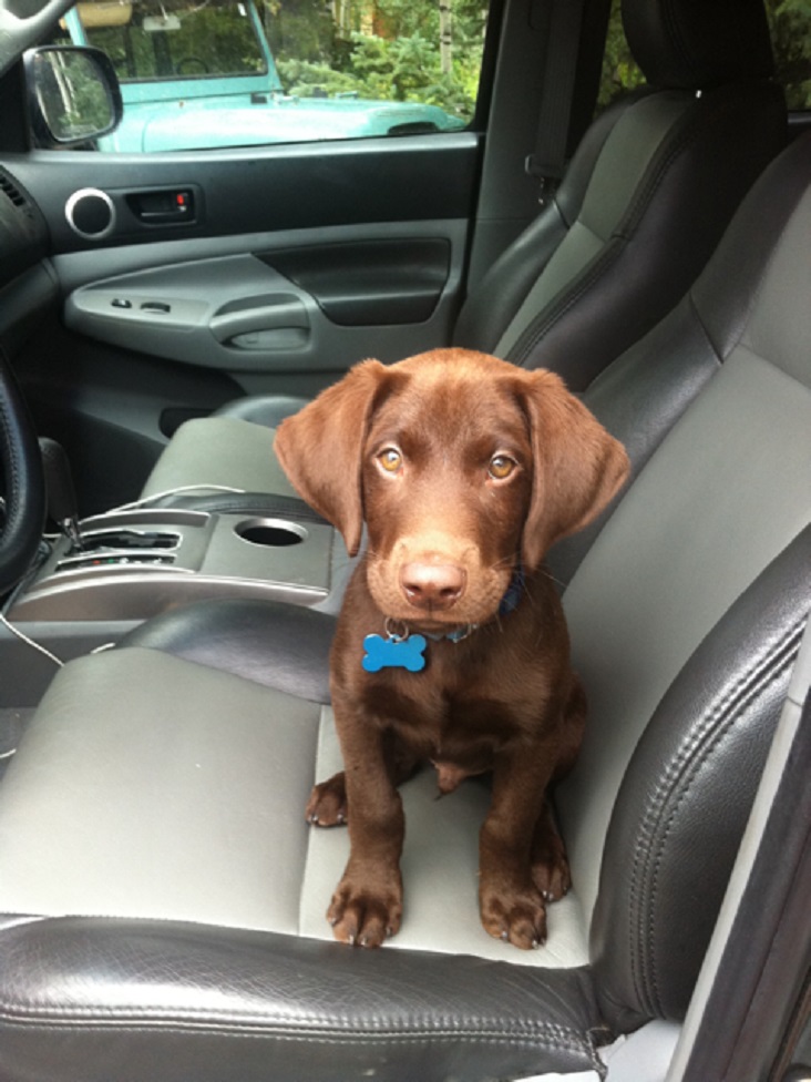 Move In Checklist 03