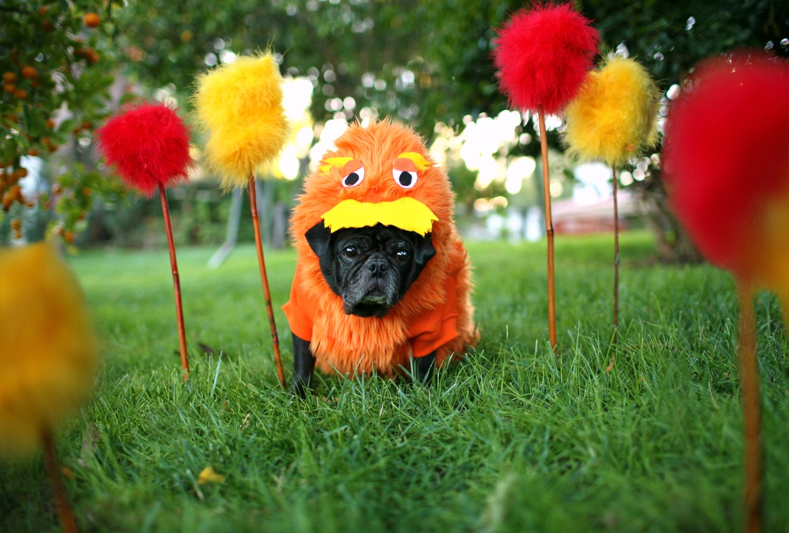 PugslyLorax