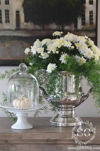 mums and asparagus fern with white pumpkins stonegableblog.com