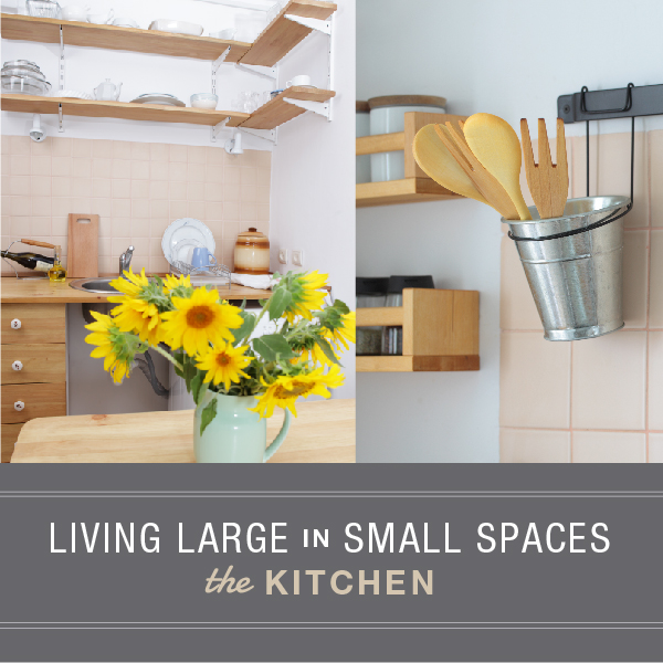 LivingLargeInSmSpaces_Kitchen_600-01 (1)