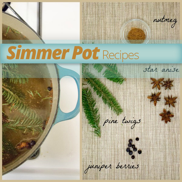 Simple Winter Evergreen Simmer Pot Recipe - The Homestead Challenge