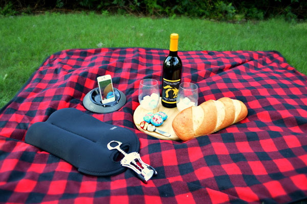 Perfectly Portable Picnic Supplies ForRent.com