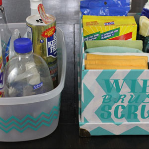 Let me show you how I tackle our cleaning supply collection Cleaning Supplies