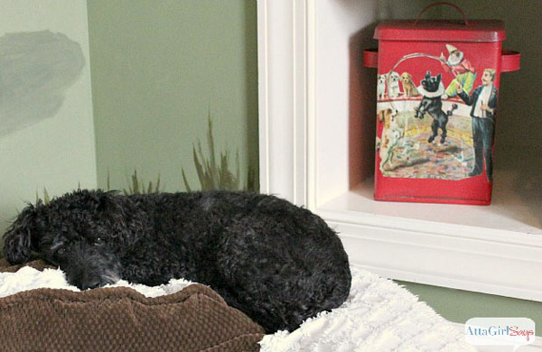 Some of my favorite double-duty decorating and storage solutions are metal boxes and tins Put It In a Box Dog Tin