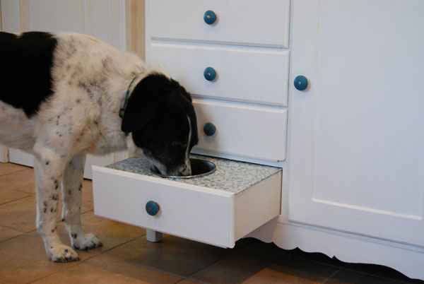 If you have pets in a small space have a look at my pet feeding station! Pet Feeding Station dog eating