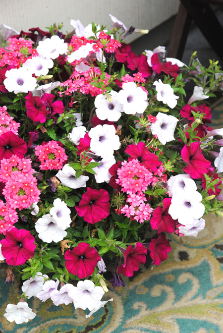 Summer is here and it's time to enjoy your outdoor space, get creative with your balcony! creative balcony flowers