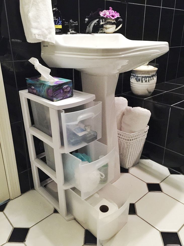 Pedestal Sink Storage