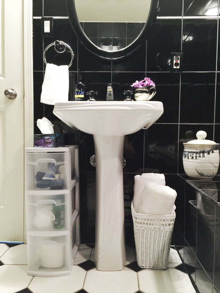 3 Brilliant Ways to Add Storage to Your Pedestal Sink Tips ForRent