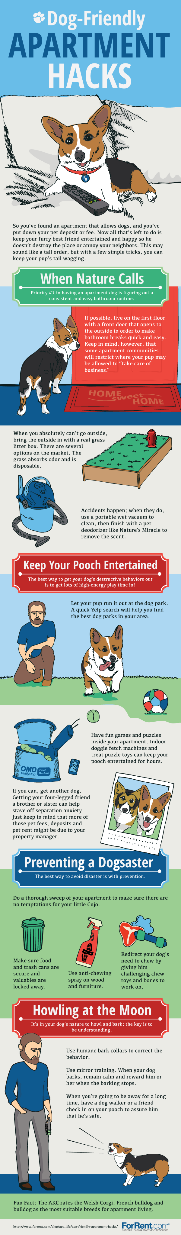 what makes a dog hack