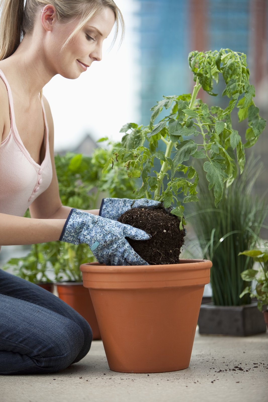 apartment balcony garden