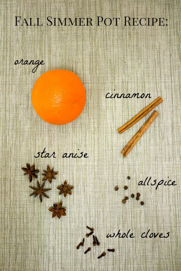 3 Simmer Pot Recipes