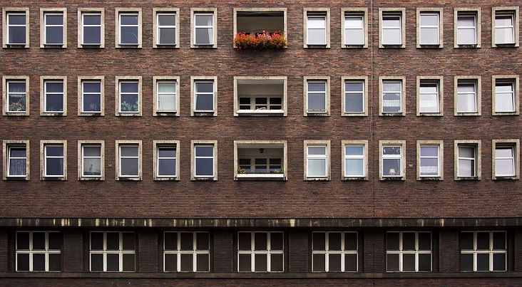 renting-non-citizen-02