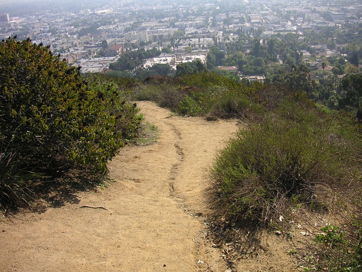 The 10 Best Hiking Trails in Los Angeles Tips ForRent