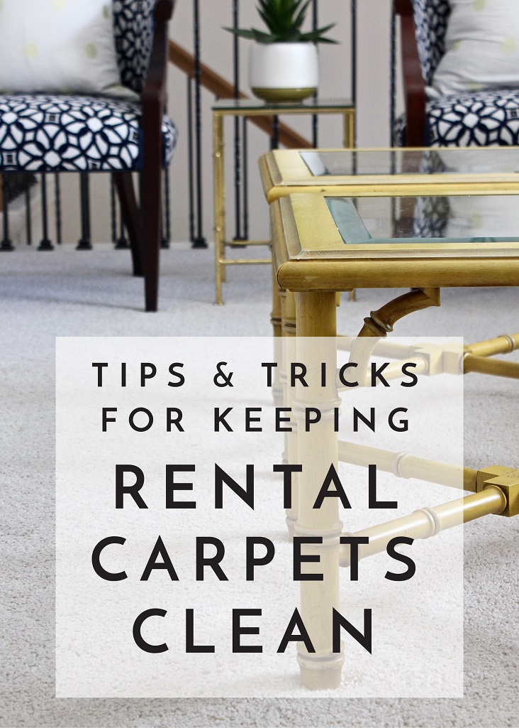 tips-and-tricks-for-keeping-rental-carpets-clean-title-image