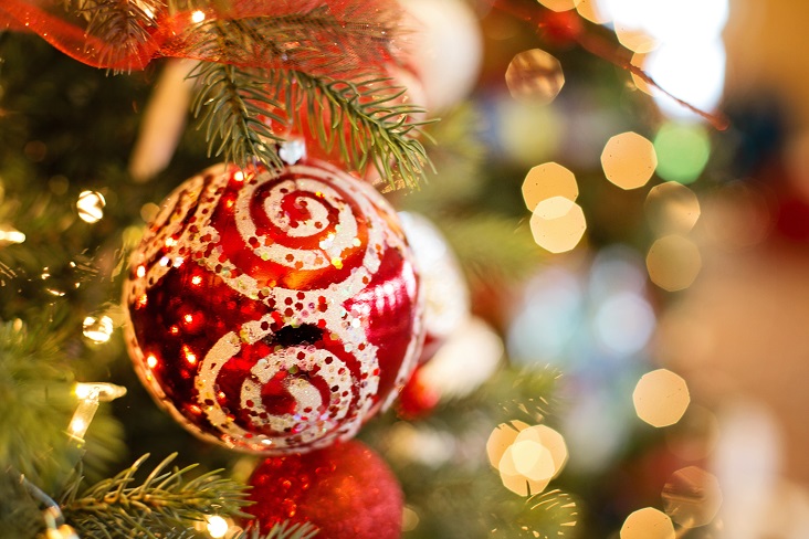 How Many Lights Should Go on a Christmas Tree? Tips | ForRent