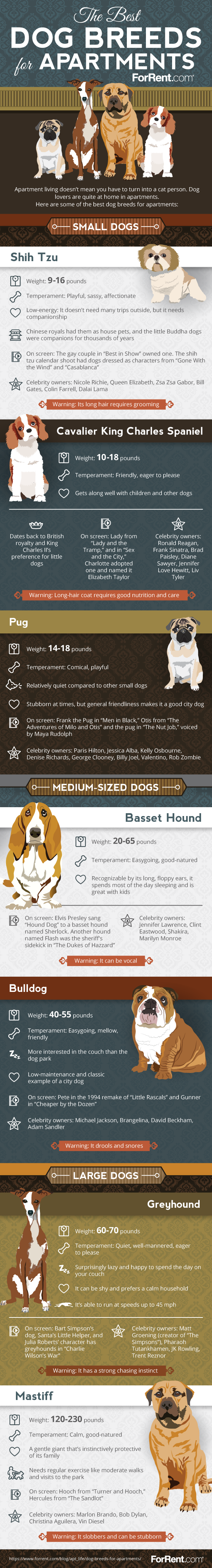 The Best Dog Breeds For Apartments