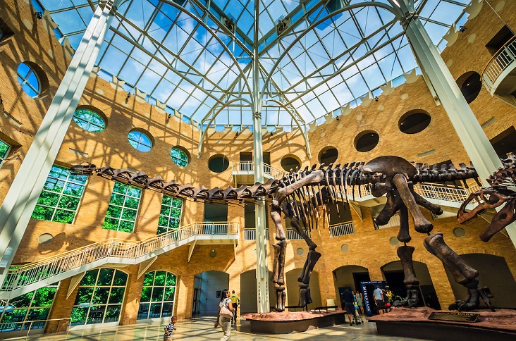 Top Museums That Make Atlanta, Atlanta!