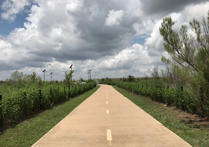 Best Parks & Trails In Dallas