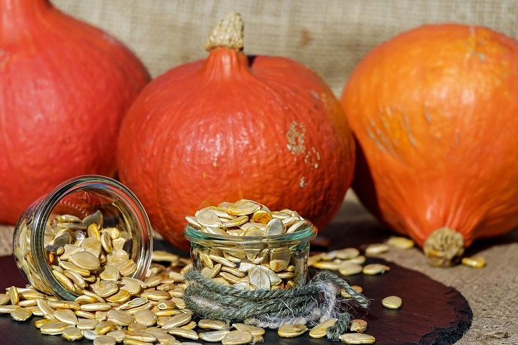 Tips on Making Your Apartment Feel Like Fall