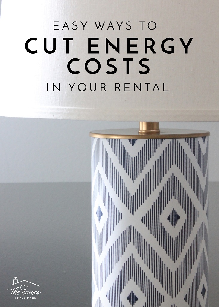 Easy Ways to to Cut Your Energy Costs In Your Rental