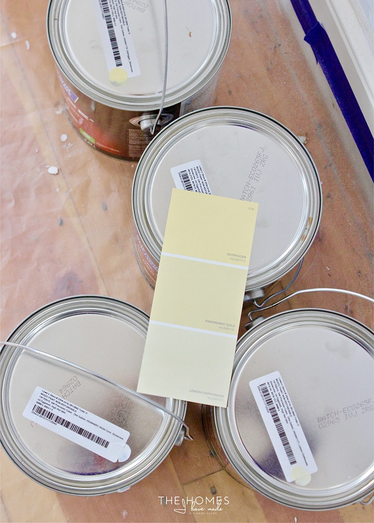 Should I Paint My Rental? Tips ForRent
