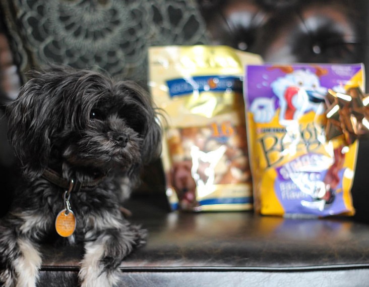 Best Pet-Friendly Spots in Dallas