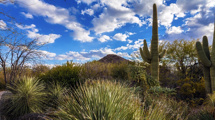 Six Romantic Spots in Phoenix