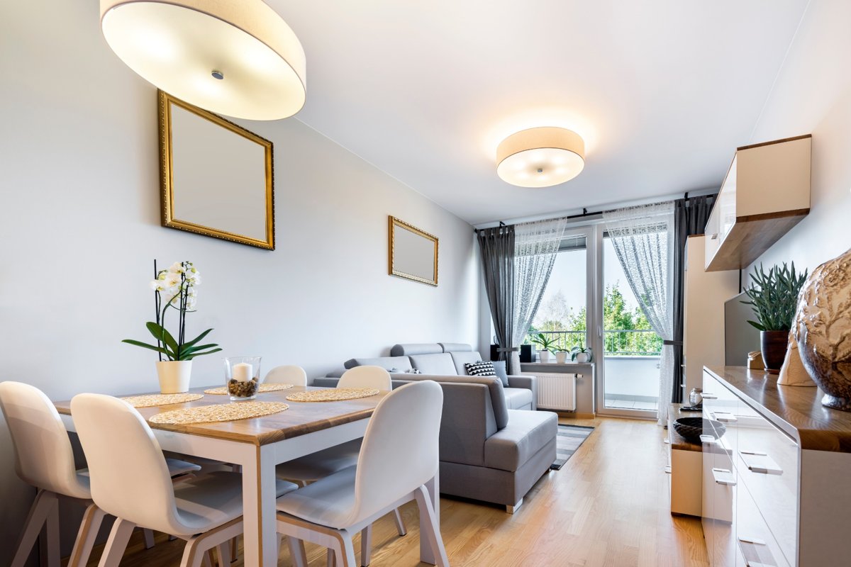 Well-organized open-plan apartment with designated zones for dining and lounging – demonstrating smart space planning for apartments.