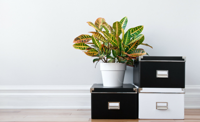 Clever Ways to Stash your Stuff
