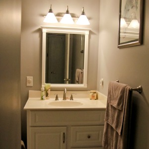 Keeping the Apartment Germ-Free: The Bathroom