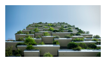 Three Cities that are Going Green