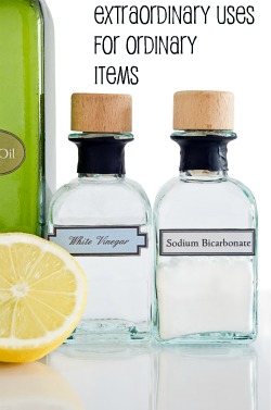 Extraordinary Uses for Ordinary Items