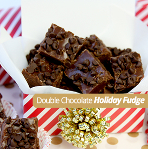 Double Chocolate Holiday Fudge