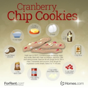 Cranberry White Chocolate Chip Cookie Recipe