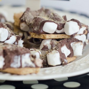 Indoor S'mores: No Outdoor Camping Required!