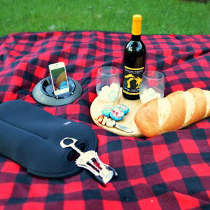 Enjoy a Perfectly Portable Picnic This Summer