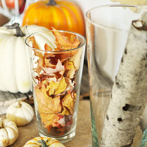 5 Tips for Fall Clean up in Your Rental