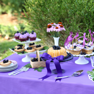 Summer Blackberry Treat Table