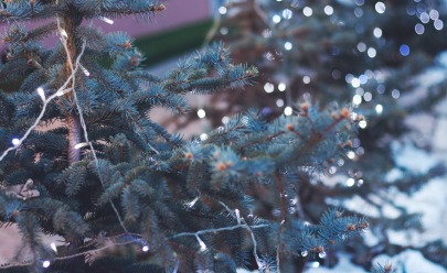 Things to Do Before You Leave Your Apartment for Winter Break