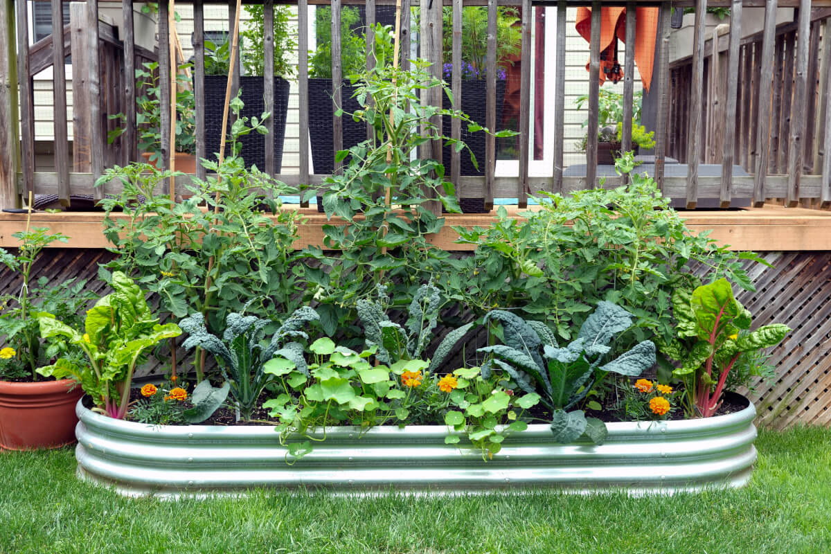 Plants in a galvanized steel container sit next to a porch.