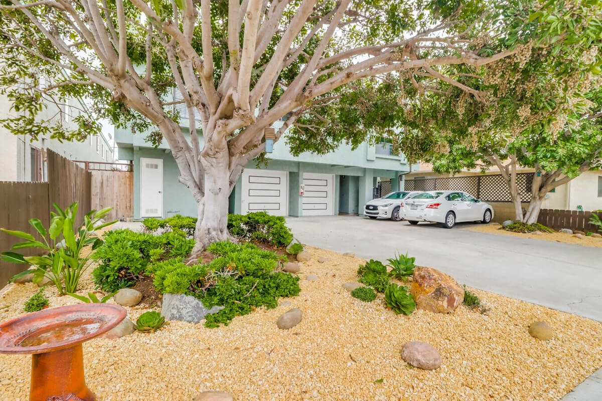 A large tree grows in front of 4449 Hamilton Street, a teal stucco townhouse in Balboa Park.